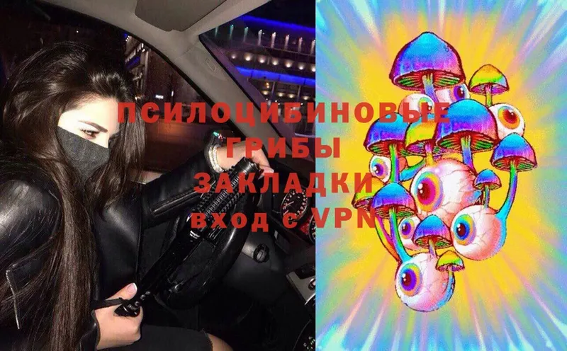 Галлюциногенные грибы Magic Shrooms  Верхняя Пышма 